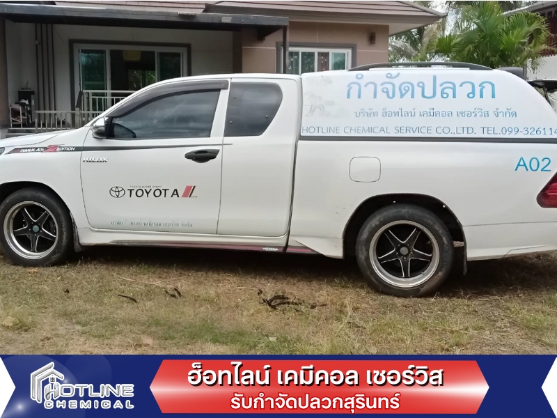กำจัดปลวกรวดเร็ว