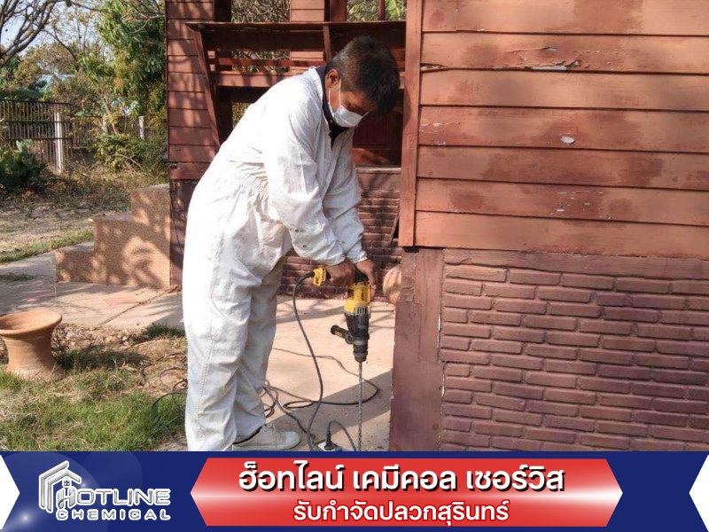 รับกำจัดปลวกสุรินทร์