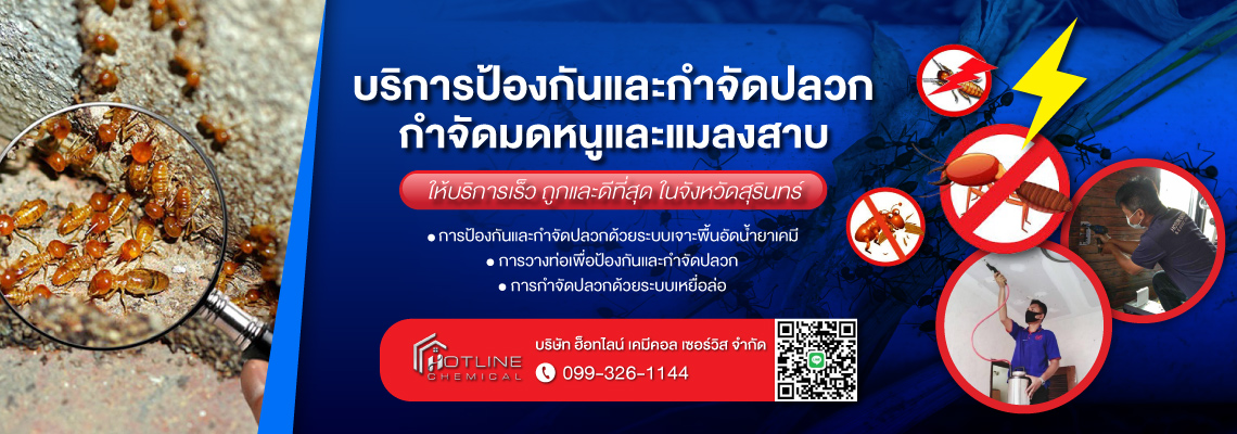 รับกำจัดปลวกสุรินทร์ ฮ็อทไลน์ เคมีคอล เซอร์วิส